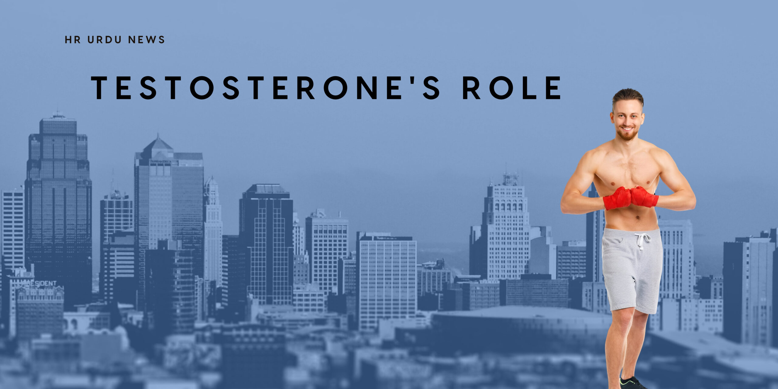 Testosterone's Role