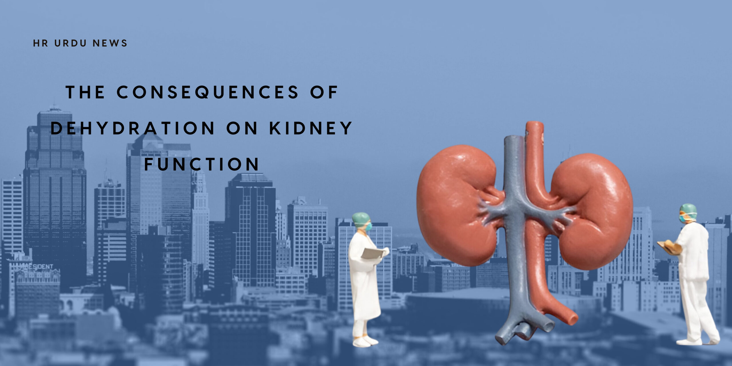 Kidney Function
